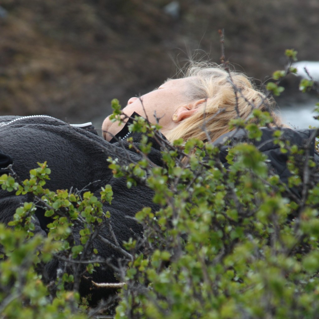 meditation Yogaresor och avslappning ute i naturen